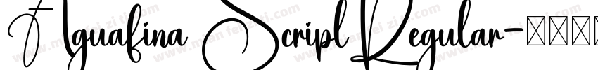 Aguafina ScriplRegular字体转换